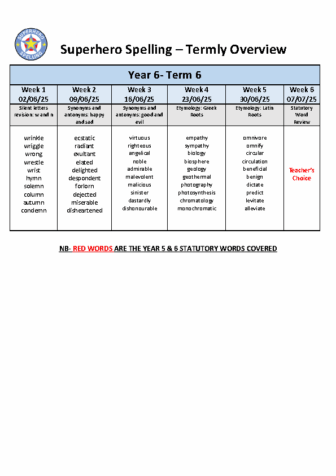 Term 6 Spelling Year 6