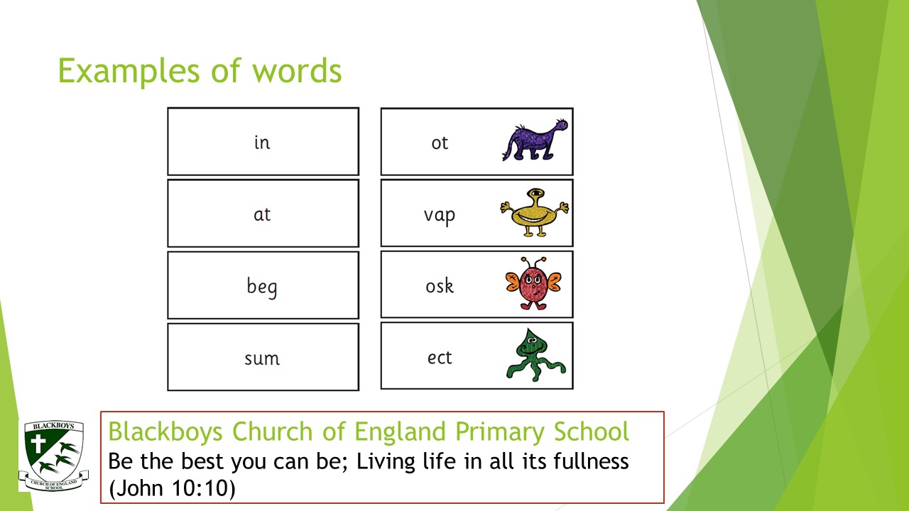 Slide 7
