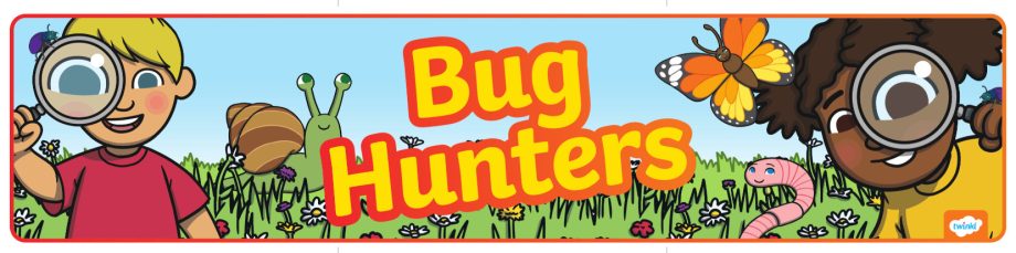 Bug Hunters Bug Hunters