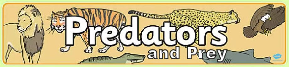Predators and Prey Predators and Prey